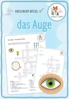Vorschau - Arbeitsblätter - das Auge – Kreuzworträtsel - Deckblatt