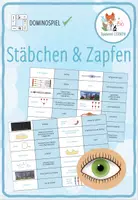 Vorschau - Spiele - das Auge: Fehlsichtigkeit - Domino Spiel - Deckblatt