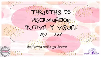 Vista previa - Tarjetas / Manipulativos - DISCRIMINACIÓN F-Z - Portada