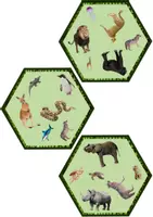 Aperçu - Jeux - Jeu Twin Trouble Wild Animals Set 2 en ANGLAIS - Game Twin Trouble Wild Animals set 2 - Page 3