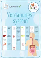 Vorschau - Spiele - Verdauungssystem - Domino Spiel - Deckblatt