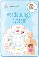 Vorschau - Spiele - Verdauungssystem – Legekreis - Deckblatt