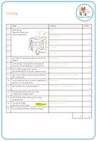 Vorschau - Test - Verdauungssystem - Lernkontrolle - Seite 2