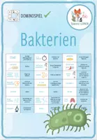 Vorschau - Spiele - Bakterien – Domino Spiel - Deckblatt