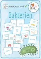 Vorschau - Spiele - Bakterien – Paare Finden Spiel / Zuordnungsaktivität - Deckblatt