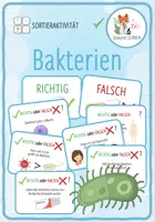 Vorschau - Spiele - Bakterien – Richtig oder Falsch? Sortieraktivität - Deckblatt