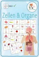 Vorschau - Spiele - Zellen und Organe - Bingo - Deckblatt