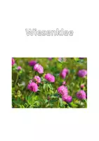 Vorschau - Arbeitsblätter - Herbarium - Seite 3