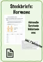 Vorschau - Arbeitsblätter - Hormone: Steckbriefe erstellen (inkl. Infotexte) - Gruppenpuzzle - Deckblatt