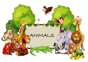 anteprima - Materiale di supporto/inclusione - INGLESE - animali - Pagina di copertina