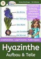 Vorschau - Arbeitsblätter - Frühblüher Hyazinthe - Arbeitsblätter - Tafelmaterial - Klettmappen - Anybook - Deckblatt