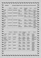 Vorschau - Arbeitsblätter - Grammatik Prüfungsvorbereitung - Herbst & Halloween-Edition - Seite 3