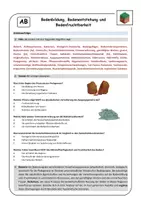 Vorschau - Arbeitsblätter - Bodenbildung, Bodenentstehung und Bodenfruchtbarkeit (inkl. Lösung!) - Seite 2