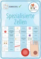 Vorschau - Spiele - Spezialisierte Zellen - Domino Spiel - Deckblatt