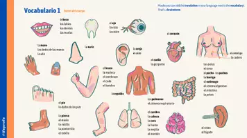 anteprima - Materiale di supporto/inclusione - El cuaderno de la salud - Il libretto sanitario in spagnolo - Pagina 2