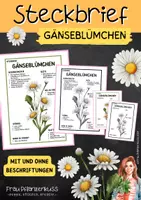Vorschau - Arbeitsblätter - Steckbrief mit Beschriftungen Gänseblümchen Pflanzenkunde | Grundschule und Sekundarstufe 1 | Klasse 3 bis 7 - Deckblatt