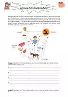 Vorschau - Arbeitsblätter - Bakterielle Erkrankung - DIe Salmonellose - Seite 3