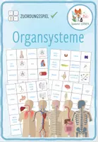 Vorschau - Spiele - Organsysteme des menschlichen Körpers – Zuordnungsaktivität - Deckblatt