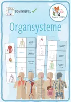 Vorschau - Spiele - Organsysteme des menschlichen Körpers - Domino Spiel - Deckblatt
