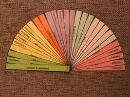 Vorschau - Merkblätter - Redemittelfächer "expresar la opinión" zur Differenzierung (Meinungsäußerung) - Deckblatt