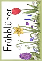 Vorschau - Bildkarten - Frühblüher Themenplakat - Seite 2