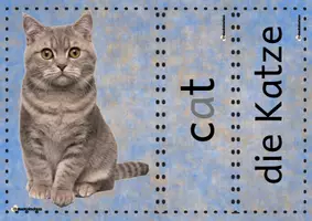 Vorschau - Bildkarten - Haustiere/Pets Englischunterricht/DaZ - Seite 3