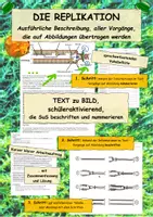 Vorschau - Arbeitsblätter - DNA Replikation aus Text zu Bildern hinzufügen - Deckblatt