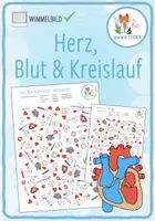 Vorschau - Arbeitsblätter - Herz, Blut & Kreislauf – Wimmelbild Rätsel - Deckblatt
