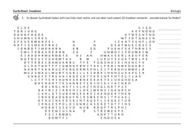 Vorschau - Spiele - Suchrätsel (Suchsel) - Insekten - Seite 2
