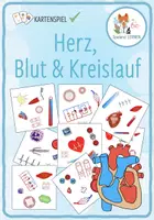 Vorschau - Spiele - Herz, Blut und Kreislauf - "Wer sieht es zuerst?" schnelles Kartenspiel - Deckblatt