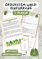 Vorschau - Mal- und Bastelvorlagen - Ökosystem Wald- Einführung | Unterrichtsreihe Ökosystem - Deckblatt