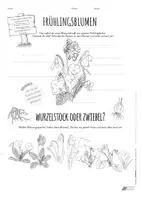 Vorschau - Arbeitsblätter - Frühlingbotenblumen-Paket: Schneeglöckchen, Primel & Co 2.-5. Klasse - Seite 3