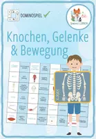 Vorschau - Spiele - Knochen, Gelenke & Bewegung - Domino Spiel - Deckblatt