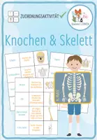 Vorschau - Spiele - Knochen und Skelett - Bingo - Deckblatt