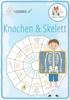 Vorschau - Stationenlernen - Knochen und Skelett – Legekreis - Deckblatt