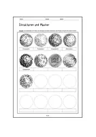 Vorschau - Arbeitsblätter - Linien, Muster, Schraffur, Vertretung, Hefteinband, 3D - Seite 3