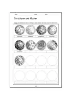 Vorschau - Arbeitsblätter - Linien, Muster, Schraffur, Vertretung, Hefteinband, 3D - Seite 2