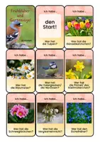 Vorschau - Spiele - Ich habe... Wer hat...? - Frühblüher und Gartenvögel - Seite 2