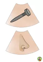 Vorschau - Präsentationen/Tafelbilder - Anlaut N Legekreis - Seite 2