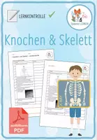 Vorschau - Test - Knochen und Skelett - Lernkontrolle (mit ausfüllbarem Pdf) - Deckblatt