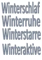 Vorschau - Bildkarten - Tafelmaterial Tiere im Winter - Seite 1