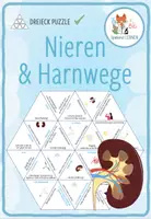 Vorschau - Spiele - Nieren & Harnwege – Dreieck Domino Spiel - Deckblatt