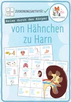 Vorschau - Spiele - Reise durch den Körper: von Hähnchen zu Harn - Sortieraktivität - Deckblatt