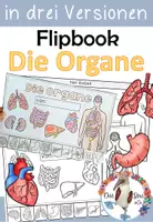 Vorschau - Mal- und Bastelvorlagen - Flipbook - Organe / Mein Körper - Steckbriefe - Deckblatt