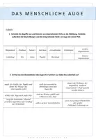 Vorschau - Stundenentwürfe - Biologie: Unterrichtsentwürfe für Klasse 9 - Materialpaket - Seite 3