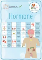 Vorschau - Spiele - Hormone - Domino Spiel - Deckblatt