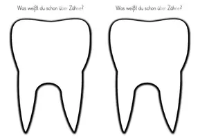 Vorschau - Arbeitsblätter - Zähne - Stunde 1 - Vorwissen & Fragen - Seite 3