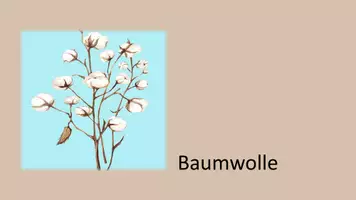 Vorschau - Arbeitsblätter - Baumwolle Erarbeitung einer Broschüre anhand von Stationen - Seite 1