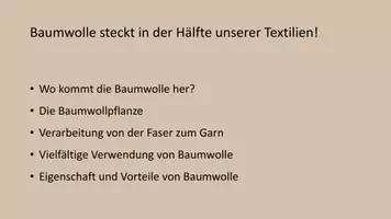 Vorschau - Arbeitsblätter - Baumwolle Erarbeitung einer Broschüre anhand von Stationen - Seite 3