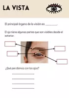 Vista previa - Hojas de trabajo - Los cinco sentidos - página 1